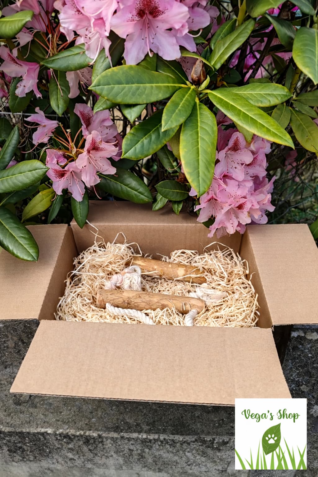 Boîte d'expédition naturelle avec jouets pour chiens naturels