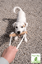 Chien avec jouet Tirepattes bois et corde — jeu de traction naturel